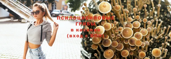 герыч Касимов