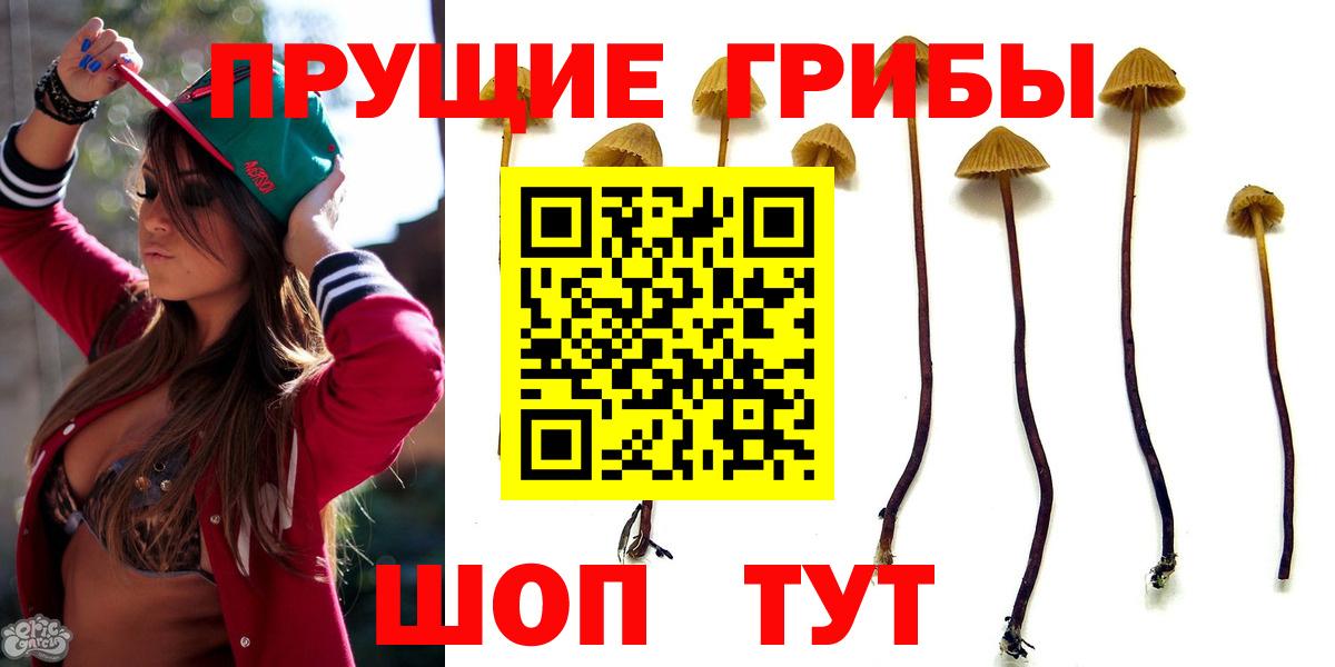 Галлюциногенные грибы GOLDEN TEACHER Уссурийск